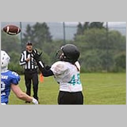 3962.jpg