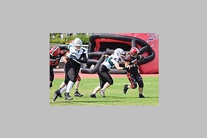 2619.jpg