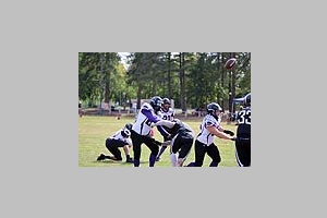 4083.jpg