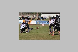 4522.jpg