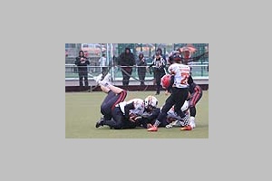 7548.jpg