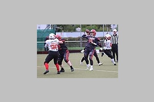 7861.jpg