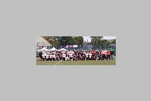8426.jpg